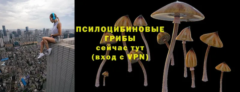 Галлюциногенные грибы MAGIC MUSHROOMS  kraken ONION  Владивосток 